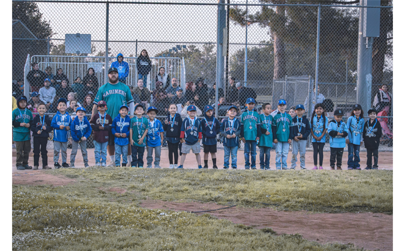 All Stars Tee Ball and Coach Pitch