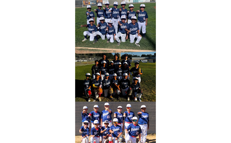 ALLSTARS